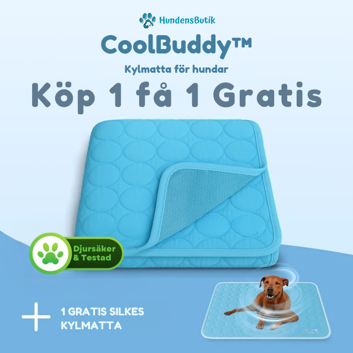CoolBuddy™ – Svalka när din hund behöver det som mest