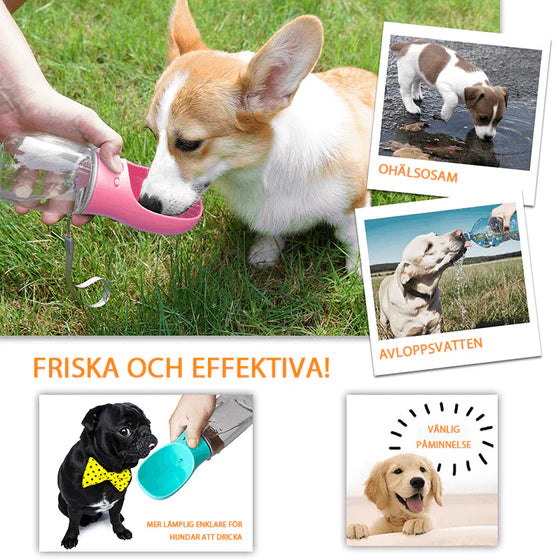 Hundvattenflaska
