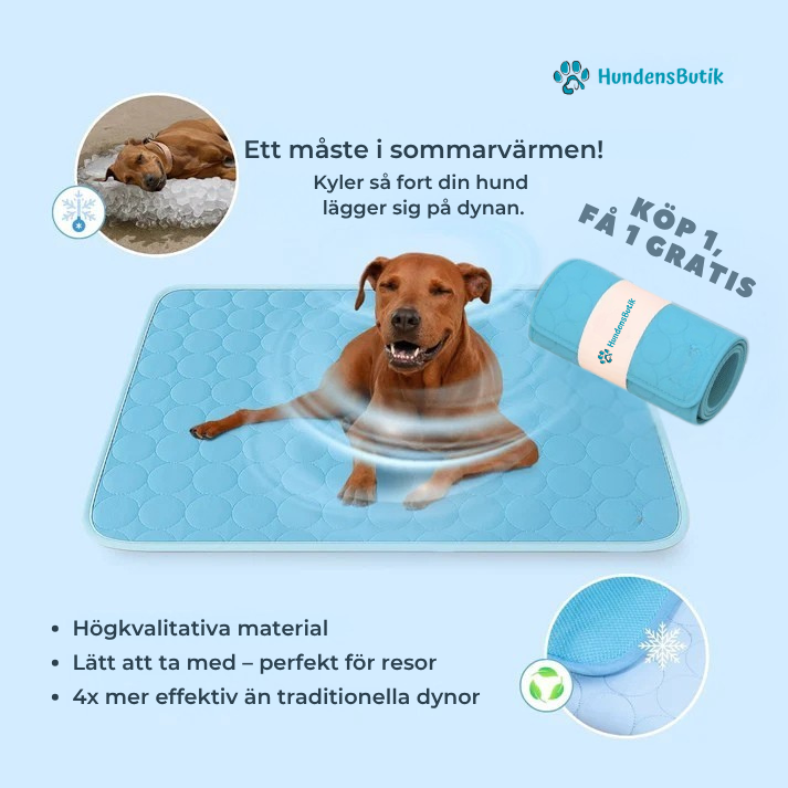 CoolBuddy™ – Svalka när din hund behöver det som mest