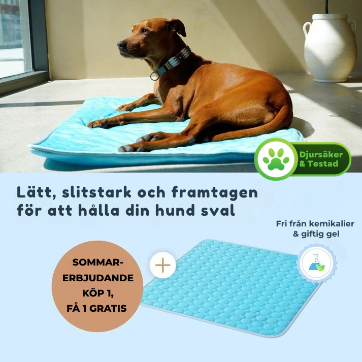 CoolBuddy™ – Svalka när din hund behöver det som mest