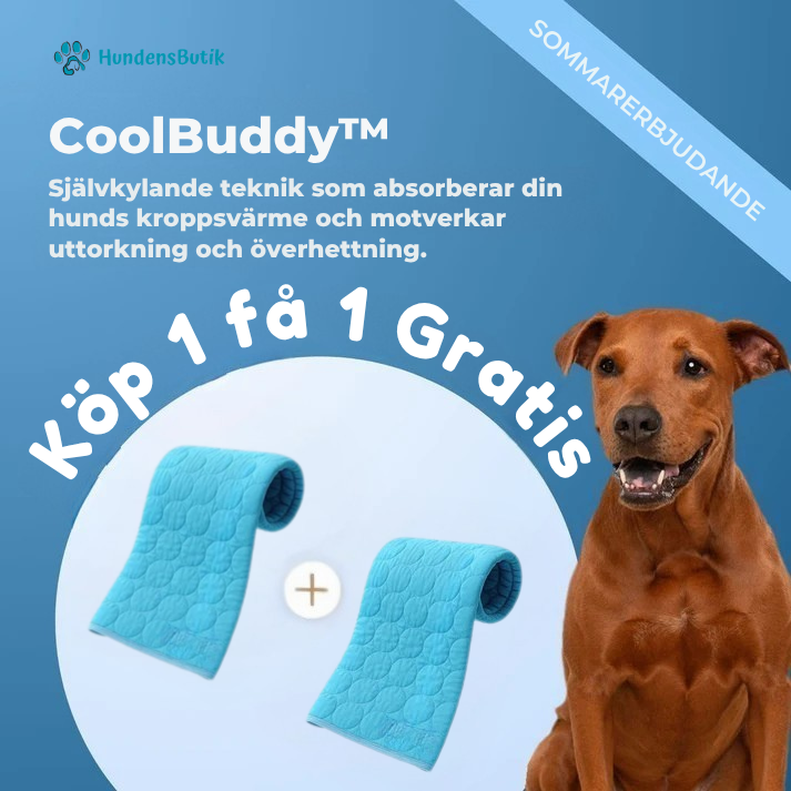 CoolBuddy™ – Svalka när din hund behöver det som mest