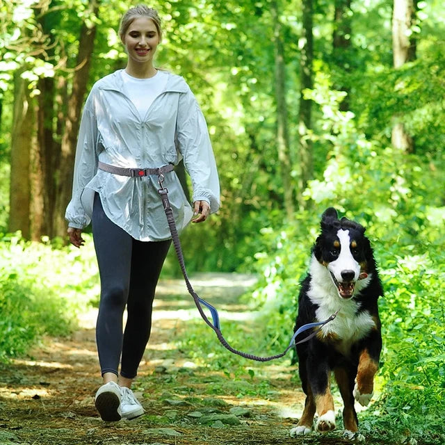 LöpLina Reflex - Hundkoppel för Aktiv Livsstil